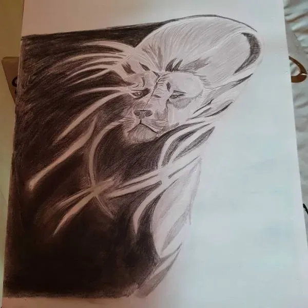 Crayon sur toile (4)